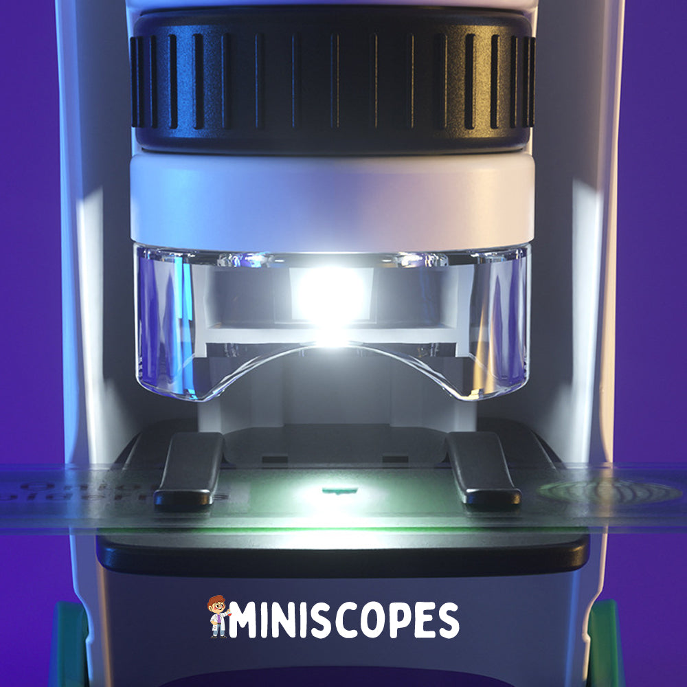 The Megascope (Miniscope With Detachable Stand)