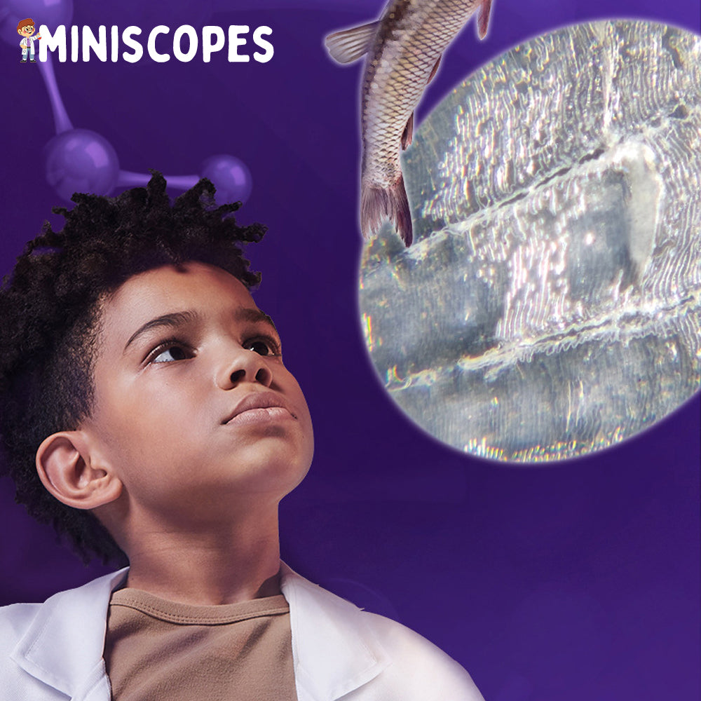 Miniscopes™ - The Portable Miniscope