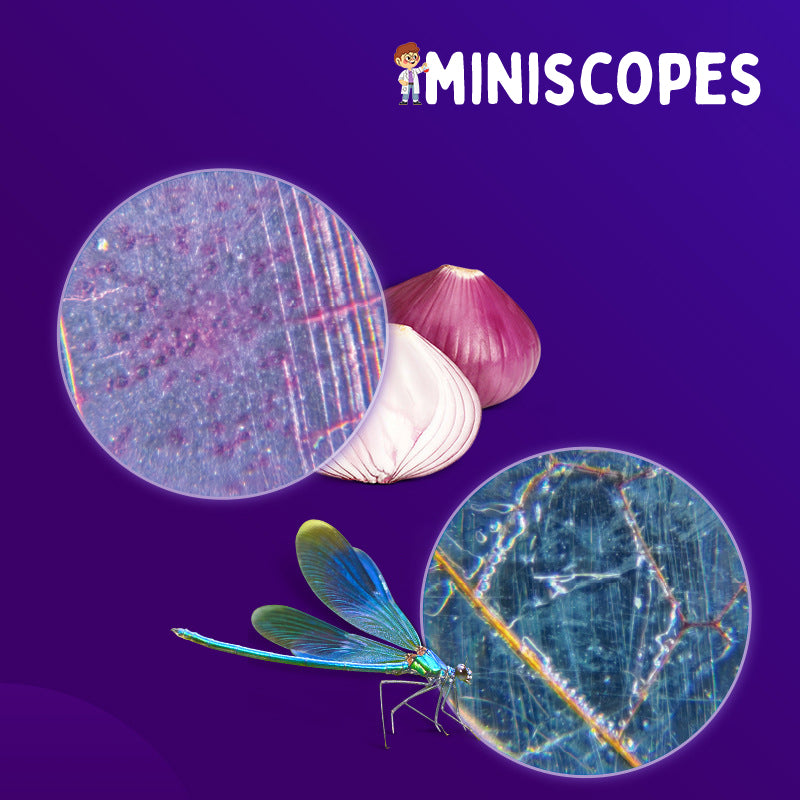 Miniscopes™ - The Portable Miniscope